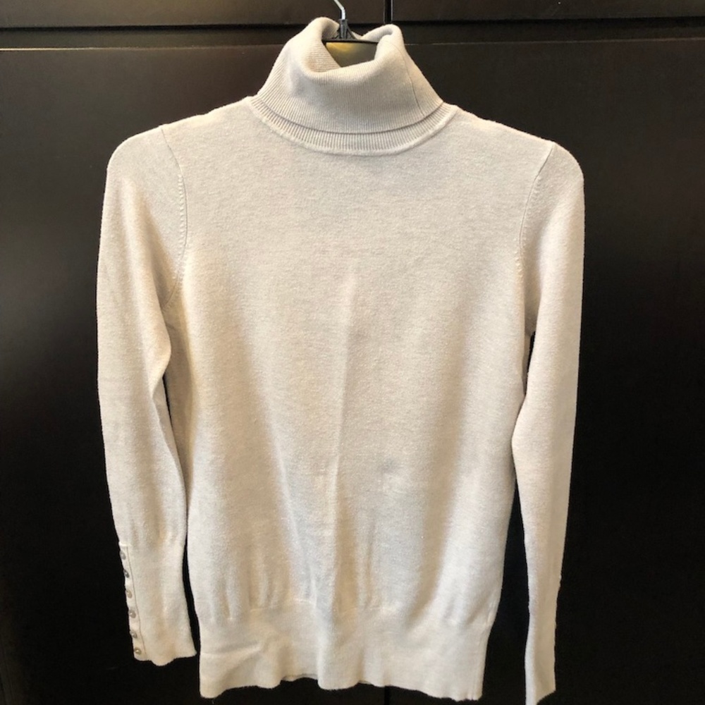 Zara turtleneck sweater